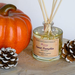 Sweet Pumpkin Reed Diffuser, Eco-Friendly Home Fragrance