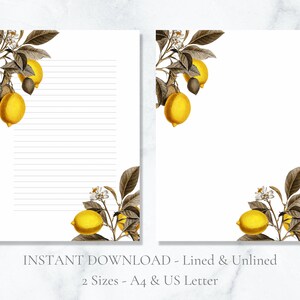 Papelería imprimible con diseño de limón botánico, papelería de frutas, papel de escribir amarillo, papel de escribir vintage, papel de carta A4, carta estadounidense, descarga instantánea
