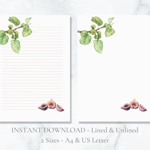 Papelería imprimible con acuarela de higos, papelería de frutas, papel de escritura natural, papel de escritura de letras de higuera, tamaño A4, carta estadounidense, descarga instantánea