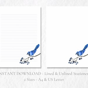 Blauer Vogel auf Zweig Printable Briefpapier Winterbeere Briefpapier A4 US Letter Instant Download Festlich