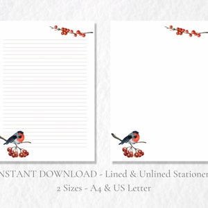Oiseau rouge sur la branche Papeterie imprimable Baies d'hiver oiseau stationnaire Lettre papier à lettres A4 US Letter Téléchargement instantané Festif