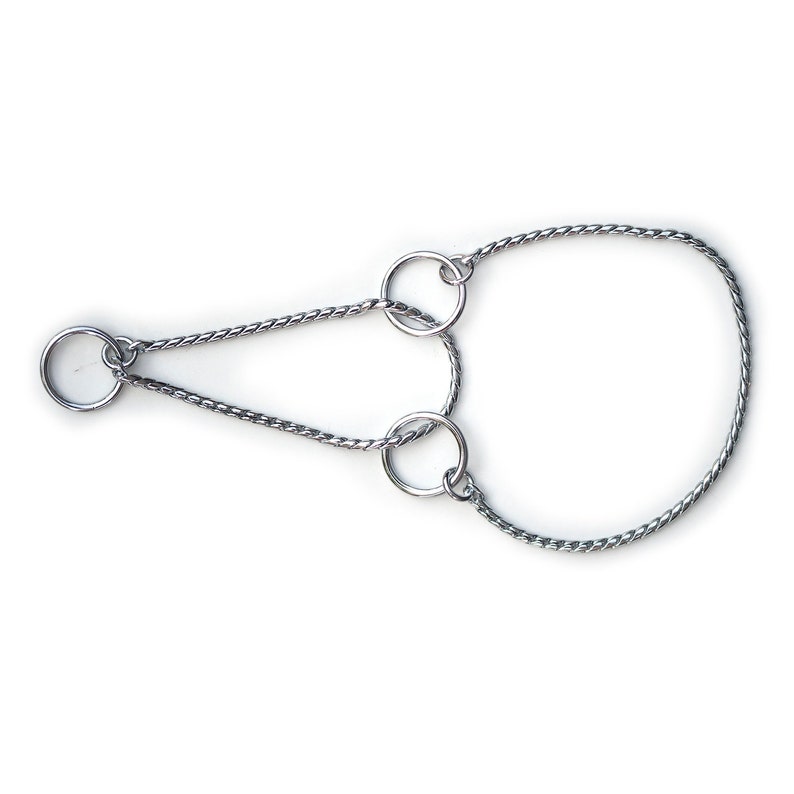 Martingale 5mm SNAKE CHAIN for Show Lead Half Choke Collar Etsy Canada