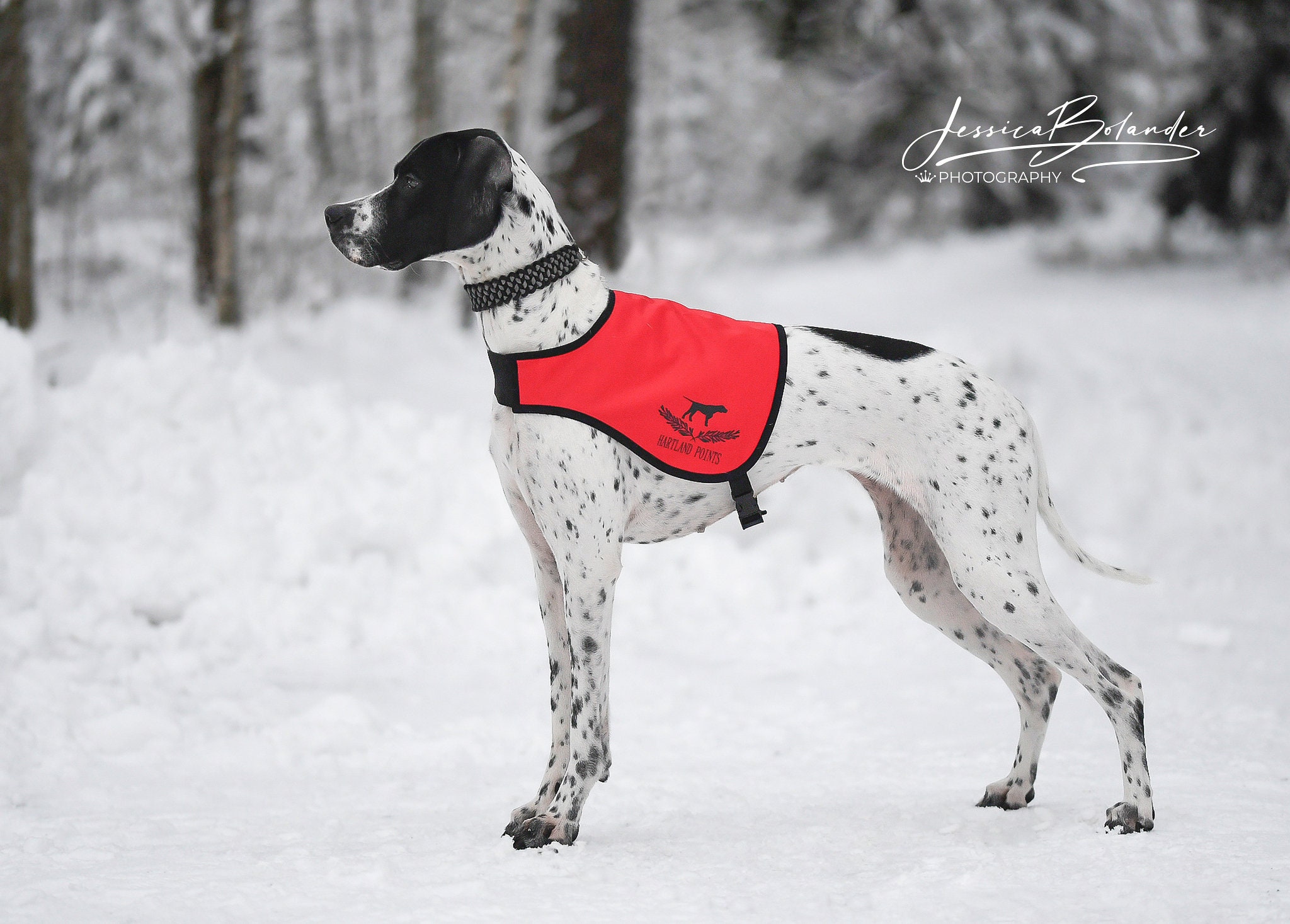 Hunting vests for dogs Dog Vest Safety Dog Vest Etsy