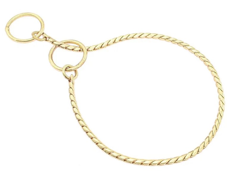 May include: A gold-colored chain dog collar with a braided design.