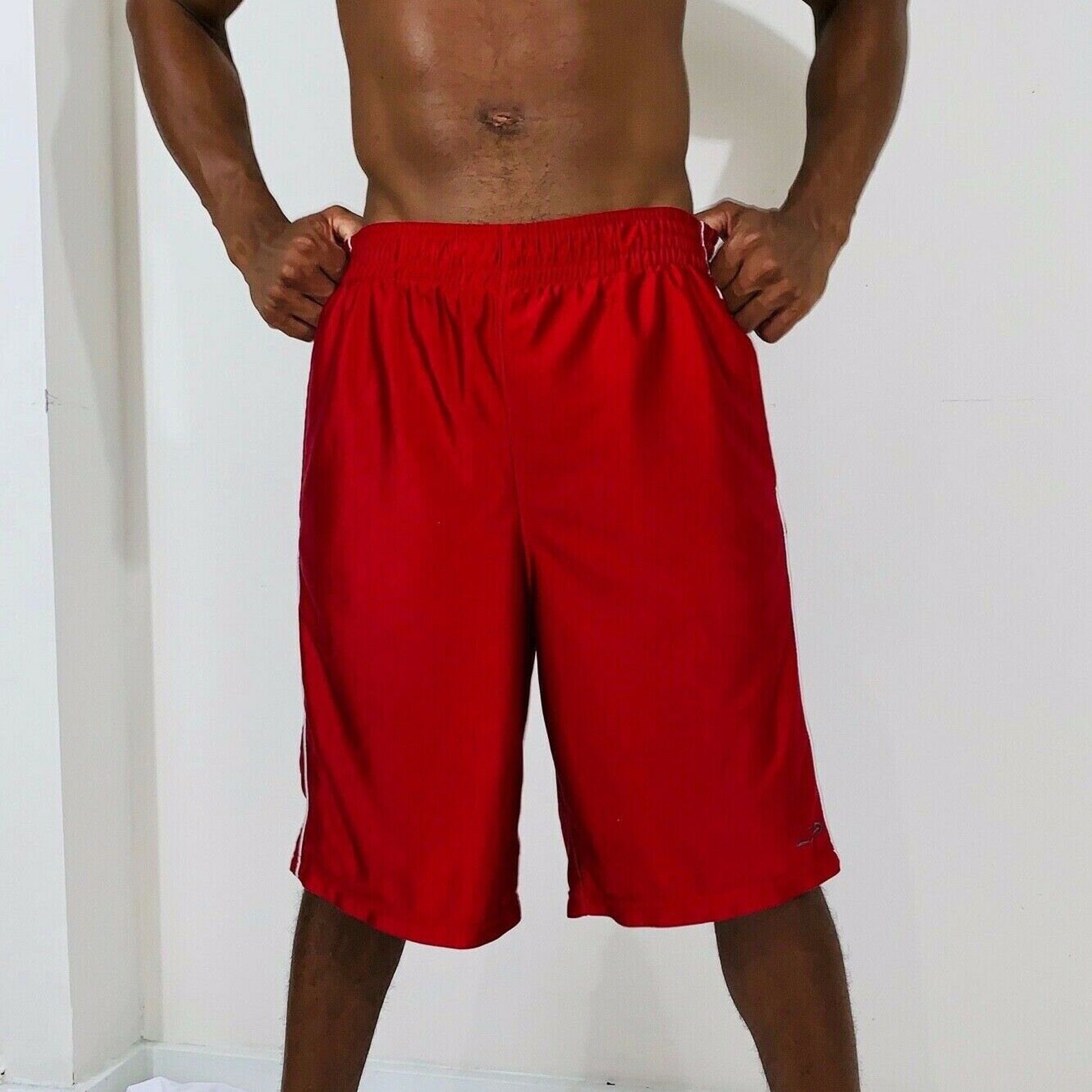 dazzle shorts dazzle shorts