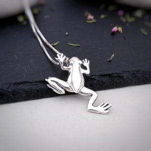May include: A silver frog pendant necklace. The frog is facing away from the viewer and has its legs outstretched. The necklace is on a black surface.