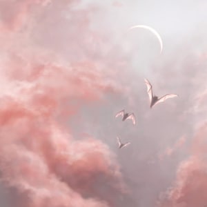 Puede incluir: Imagen artística y onírica de un cielo lleno de nubes rosas. Tres siluetas de criaturas voladoras surcan el cielo, con una luna creciente visible en la esquina superior derecha. La estética general es etérea y caprichosa.