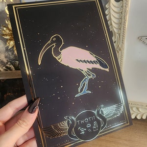 Puede incluir: Una impresión negra y dorada con una ilustración de un ibis rosa y azul. La impresión presenta el texto "Thoth" y "Isisina Le Vie" en letras doradas. El fondo es negro con purpurina dorada.