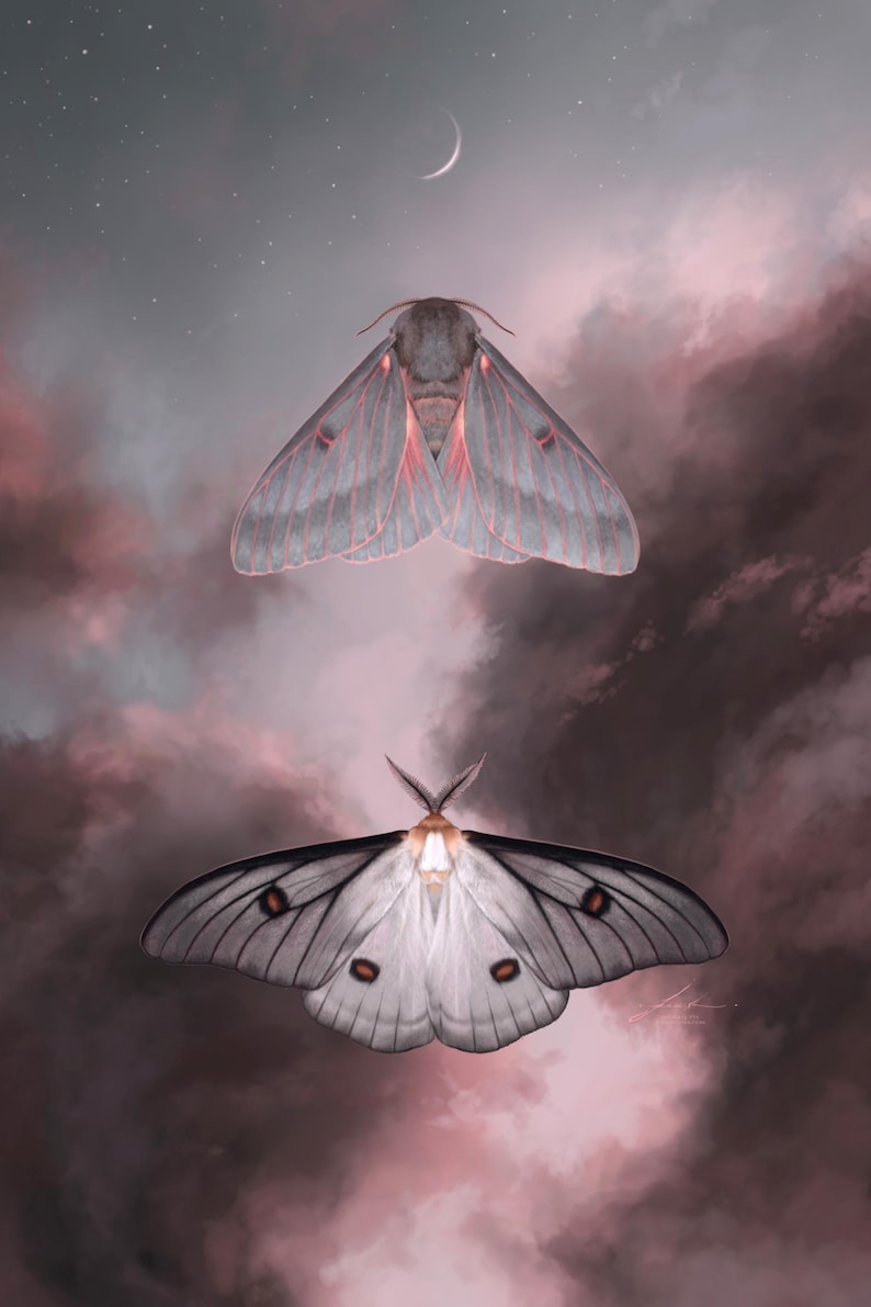 Twilight Hush [art Print] Moth Meditation Painting - Cloud Skyscape ...