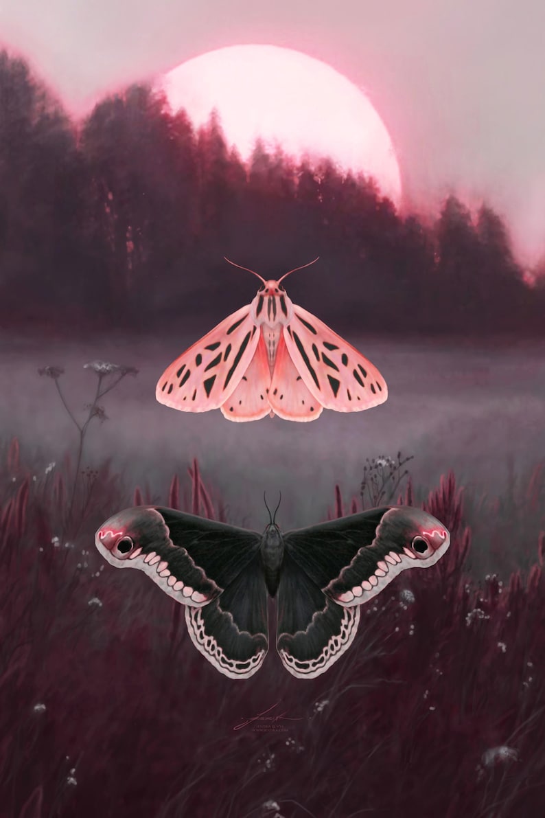 Neon Dusk [art Print] Moth Meditation Painting - Cloud Skyscape Pink ...