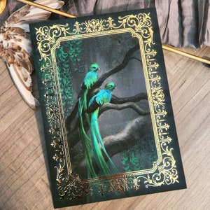 Quetzal & Jade [Goldfolie Mini Print] smaragdgrün Vogel Blume Malerei - Natur Wildtier Kunst Guatemala tropischer Dschungel - Illustration Karte
