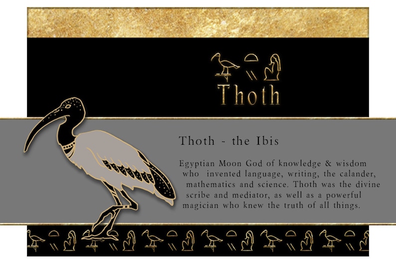 May include: A black and gold illustration of Thoth, the Egyptian Moon God of knowledge and wisdom. Thoth is depicted as an Ibis bird with hieroglyphs surrounding the image. The text reads "Thoth - the Ibis" and describes Thoth as the inventor of language, writing, the calendar, mathematics, and science. Thoth was also the divine scribe and mediator, as well as a powerful magician who knew the truth of all things.