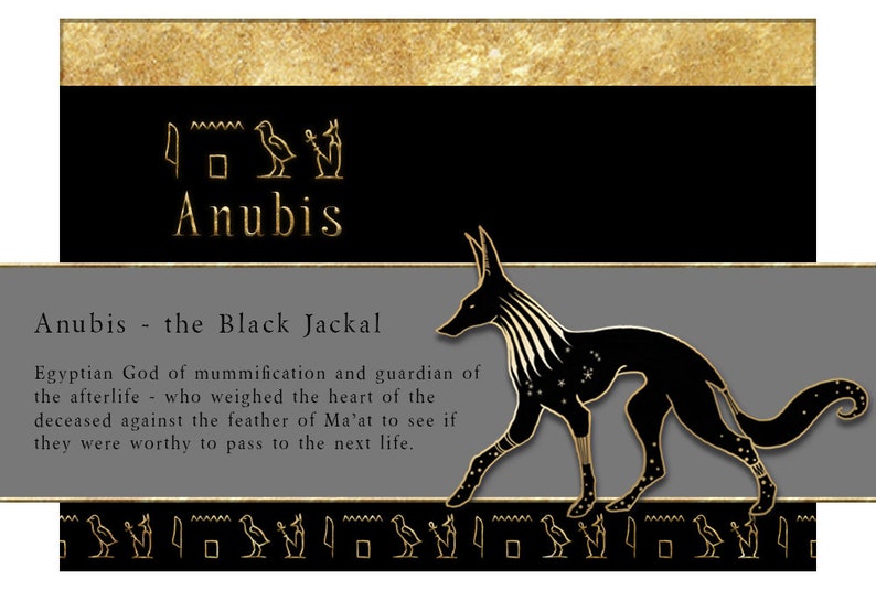 May include: Anubis, the Egyptian god of mummification, is depicted as a black jackal with gold accents. The image includes hieroglyphs and the text "Anubis - the Black Jackal".
