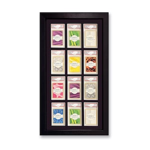 May include: A black frame with 12 card display slots. Each slot has a different colored card with the text "RIDANCO DISPLAYS" printed on it.