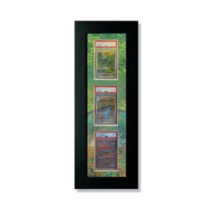 3 PSA erweiterte Kunst gedruckt Pokemon Gras 151 Starter Evo Line Graded Kartenrahmen, PSA, Sammelkarten TKG, hochwertige Display Wall Case