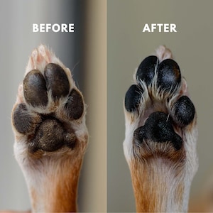 Balsamo per zampe di cane alla calendula, cura dei cuscinetti delle zampe, prodotti per il benessere degli animali domestici, prodotti per la toelettatura dei cani, balsamo multiuso per cuccioli, cani adulti e anziani