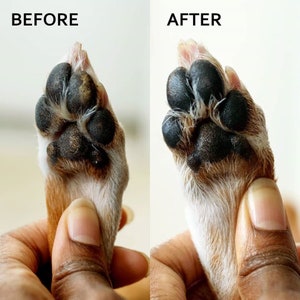 Calendula Dog Paw Balm, Paw Pad Care, Pet Wellness Supplies, Dog