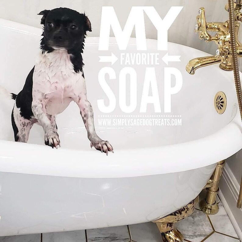 Itch Relief Dog Shampoo Bar Natural Pet Soap Dog Sensitive Etsy