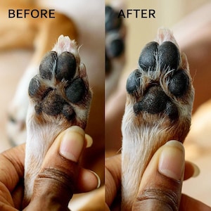 Dog's foot pads dry and cracked online