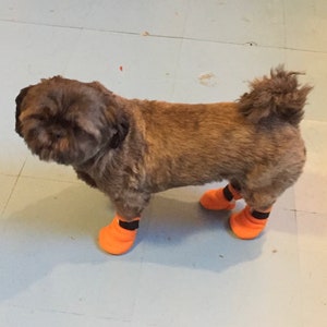 Tiny Paw Booties