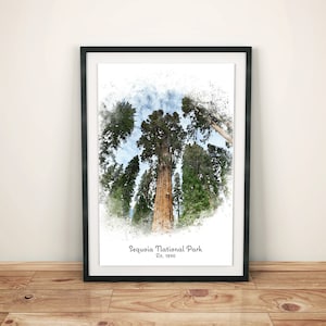 Sequoia National Park Poster