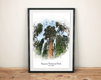 Sequoia National Park Poster