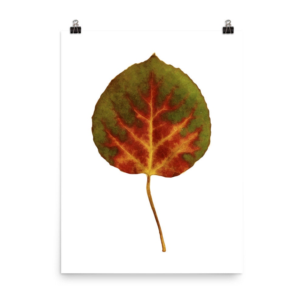 Aspen Leaf Art Print Aspen Leaf Poster Fall Poster Fall - Etsy
