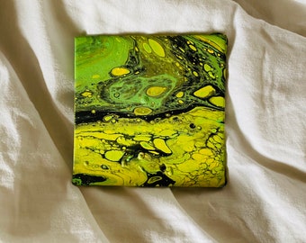 Dispholidus Typus - Acrylic on canvas