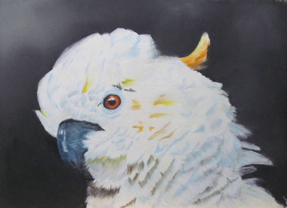 Perroquet Cacatoes A Huppe Jaune Pastel Art Animalier Etsy