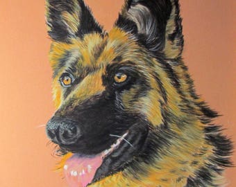 Berger Allemand - Pastel animalier - Art animalier - Chien