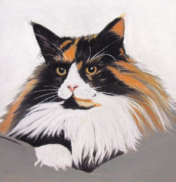 Chat Tricolore Angora Art Animalier Etsy Chat Tricolore Angora Art Animalier Etsy