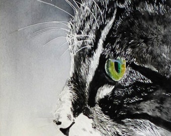 chat tigré Aquarelle animalière