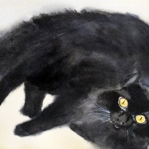 Un Chat Angora Blanc Et Noir Portrait Animalier Au Pastel Etsy
