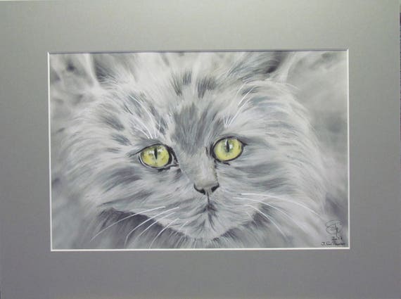 Pequeno Gato Persa Chinchilla Pastel Animal Retrato Arte Etsy