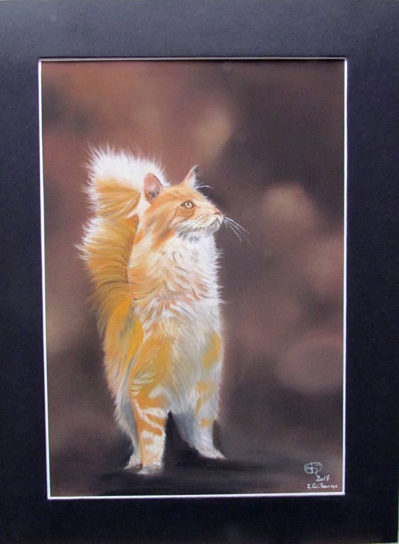 Chat Angora Roux Et Blanc Portrait Animalier Au Pastel Art Animalier