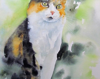 Chat tricolore roux blanc et noir - Art animalier - Portrait animalier à l'aquarelle