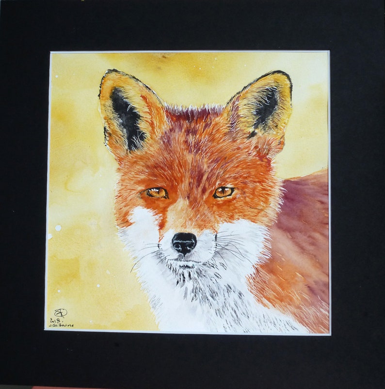Red Fox