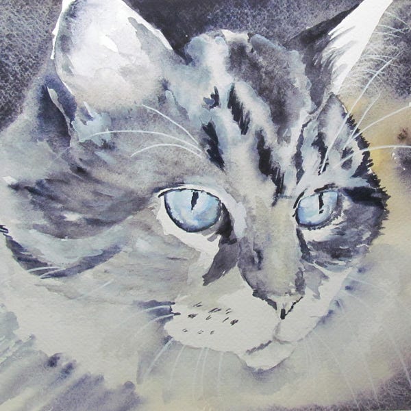 Chat tigré aux yeux bleus - Aquarelle - peinture animalière -