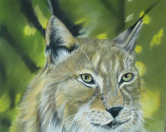 Lynx - Art animalier