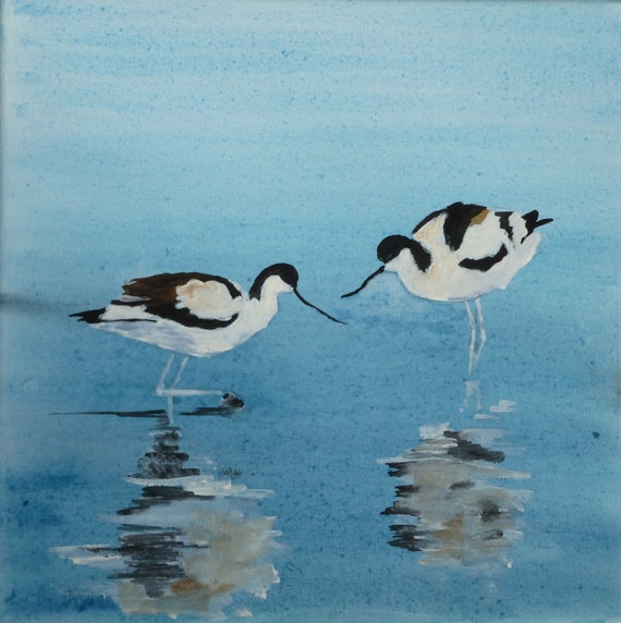 Avocette Oiseau Bord De Mer Art Animalier Sur Toile