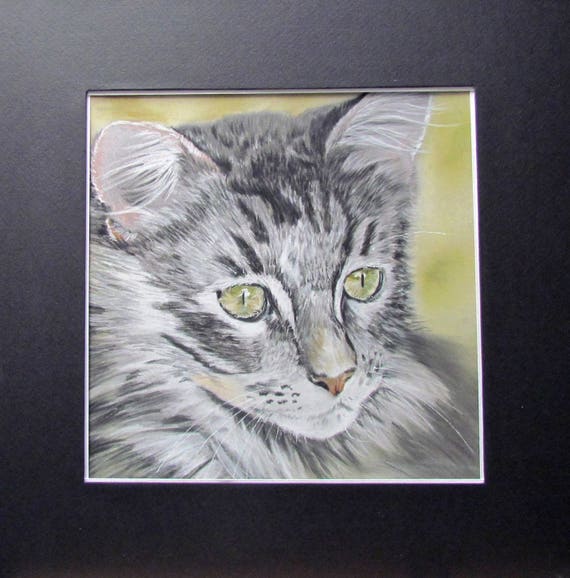 Chat Tigre Angora Gris Et Blanc Portrait Animalier Au Pastel Etsy