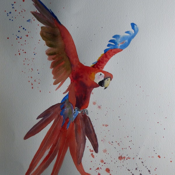 Perroquet - Aquarelle Animalière