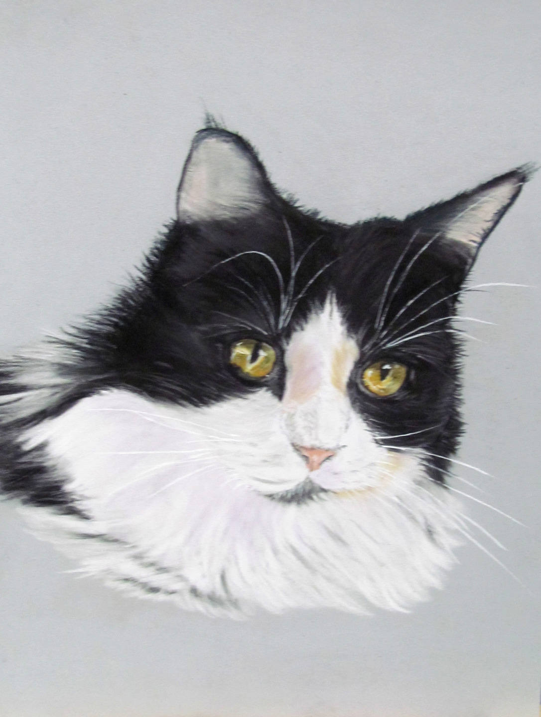 Un Chat Angora Blanc Et Noir Portrait Animalier Au Pastel Etsy