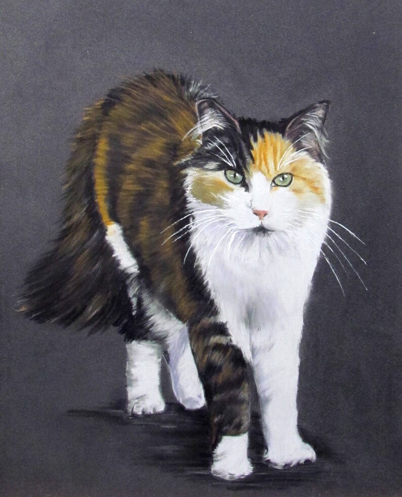 Animale Gatto Bianco Rosso Nero Tricolore Animale Ritratto A Etsy
