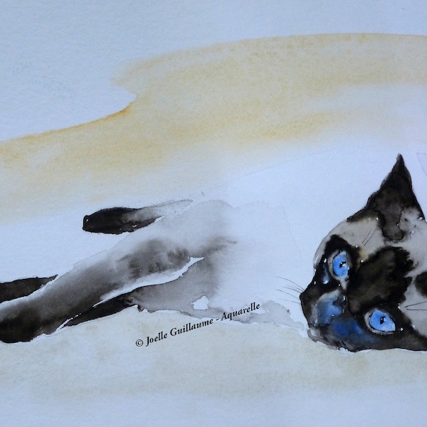 Chat siamois - aquarelle animalière