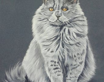 Chat persan - peinture animalière