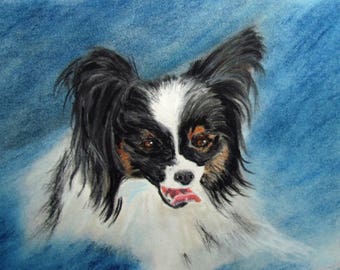 Chien Epagneul nain continental ("Papillon") - portrait animalier au pastel - Art animalier