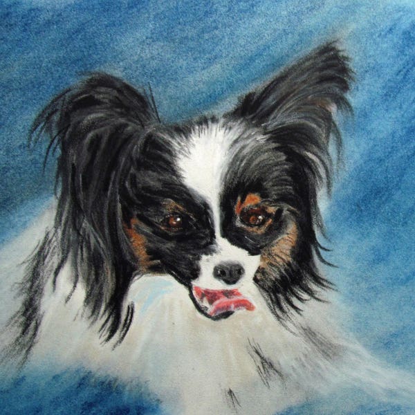 Chien Epagneul nain continental ("Papillon") - portrait animalier au pastel - Art animalier