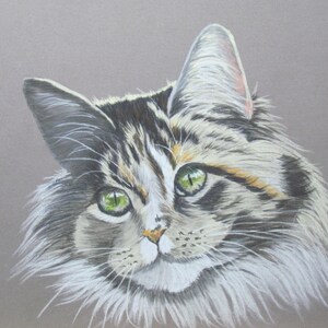 Un Chat Angora Blanc Et Noir Portrait Animalier Au Pastel Etsy