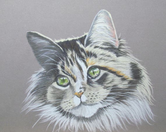 Chat Tigré Gris à Poils Longs Art Animalier Pastel Animalier
